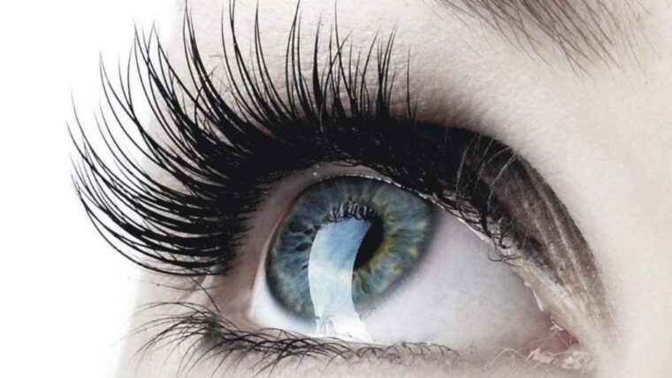 dezente Wimpernverlängerung Langenfeld natürliche Lashes künstliche Wimpern
